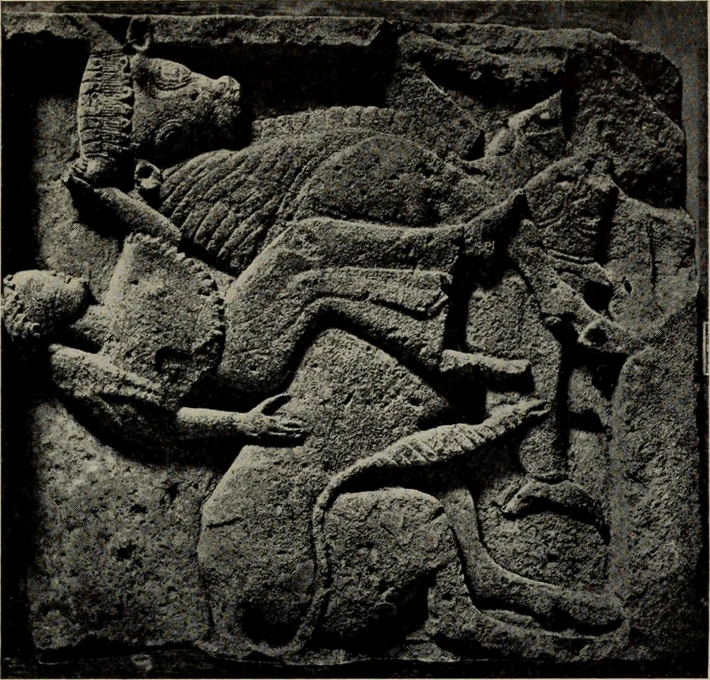 An illustration from A handbook of Greek and Roman sculpture, 1905, leaf 67