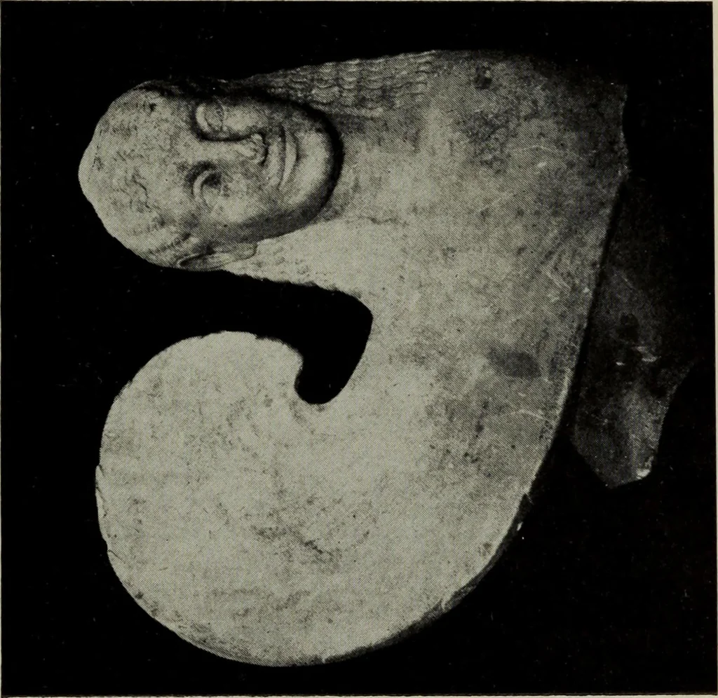 An illustration from A handbook of Greek and Roman sculpture, 1905, leaf 67