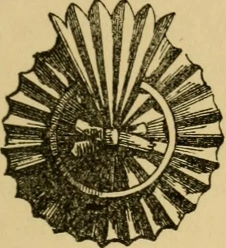 An illustration from Handbook of heraldry : with instructions for tracing pedigrees and deciphering ancient mss. : rules for the appointment of liveries, &c, 1882, leaf 344