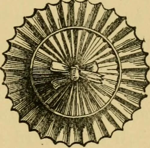 An illustration from Handbook of heraldry : with instructions for tracing pedigrees and deciphering ancient mss. : rules for the appointment of liveries, &c, 1882, leaf 344