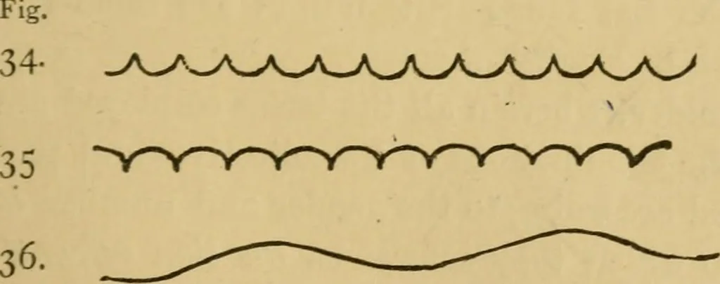 An illustration from Handbook of heraldry : with instructions for tracing pedigrees and deciphering ancient mss. : rules for the appointment of liveries, &c, 1882, leaf 52