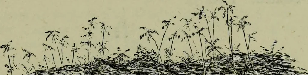 An illustration from The handbook of heraldry : with instructions for tracing pedigrees and deciphering ancient mss., also, rules for the appointment of liveries, etc. etc., 1869, leaf 402