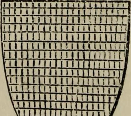An illustration from The handbook of heraldry : with instructions for tracing pedigrees and deciphering ancient mss., also, rules for the appointment of liveries, etc. etc., 1869, leaf 55