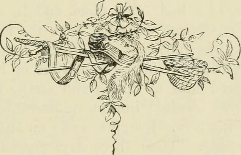An illustration from A handbook of legendary and mythological art, 1872, leaf 335