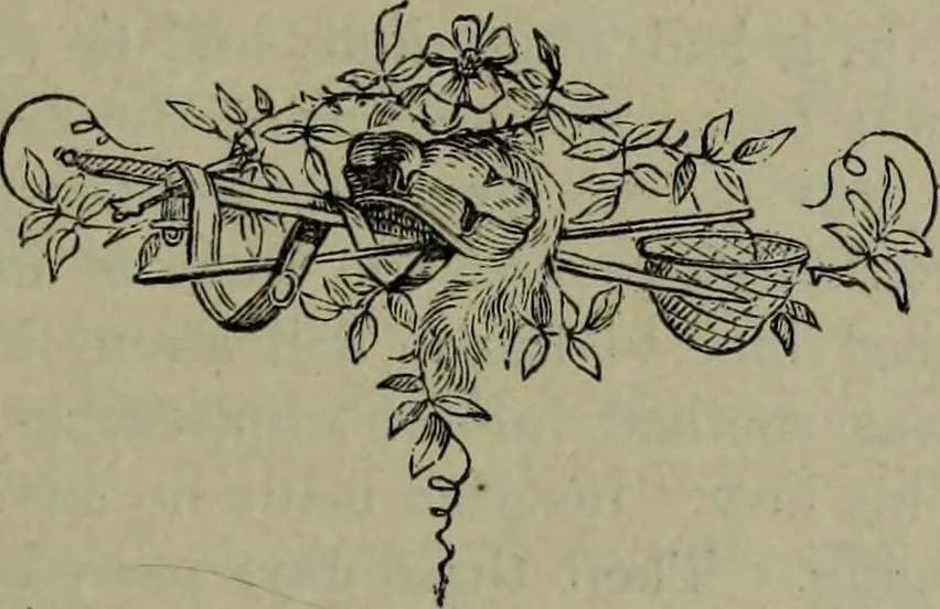 An illustration from A handbook of legendary and mythological art, 1876, leaf 336