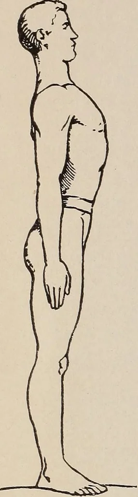 An illustration from Handbook of lessons in physical training and games for the Philadelphia public schools, 1910, leaf 14