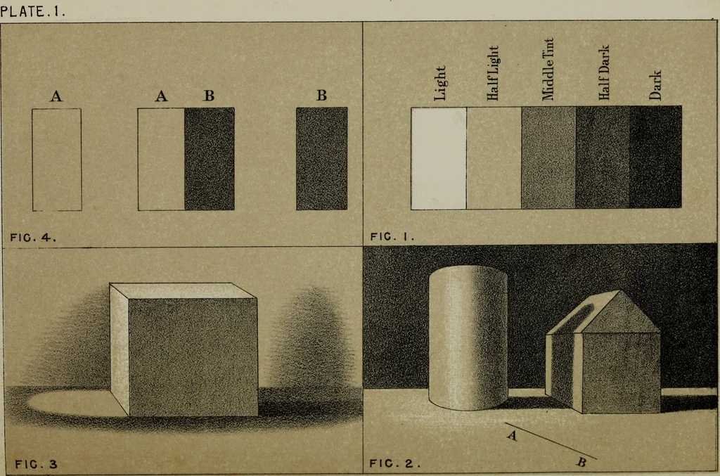 An illustration from Handbook of light and shade, with especial reference to model drawing, 1880, leaf 15