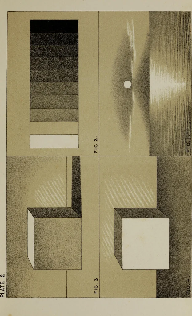 An illustration from Handbook of light and shade, with especial reference to model drawing, 1880, leaf 28
