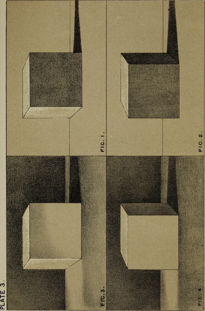 An illustration from Handbook of light and shade, with especial reference to model drawing, 1880, leaf 34