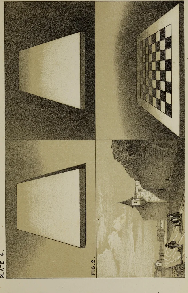 An illustration from Handbook of light and shade, with especial reference to model drawing, 1880, leaf 38