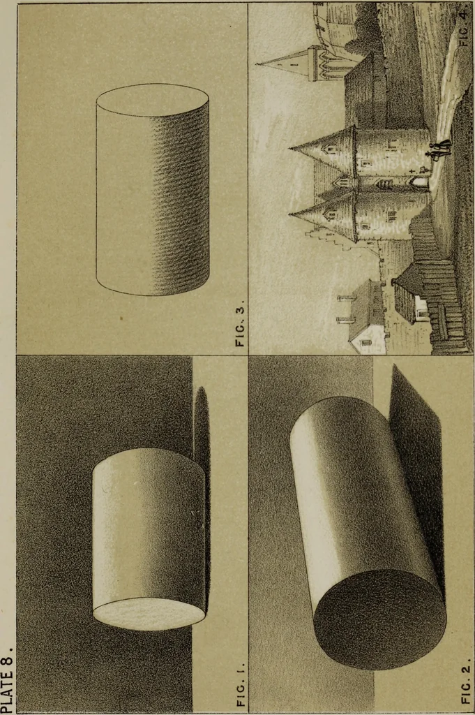 An illustration from Handbook of light and shade, with especial reference to model drawing, 1880, leaf 52