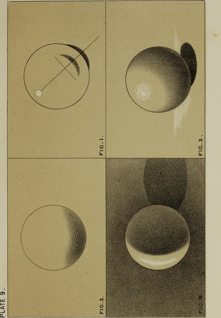 An illustration from Handbook of light and shade, with especial reference to model drawing, 1880, leaf 56