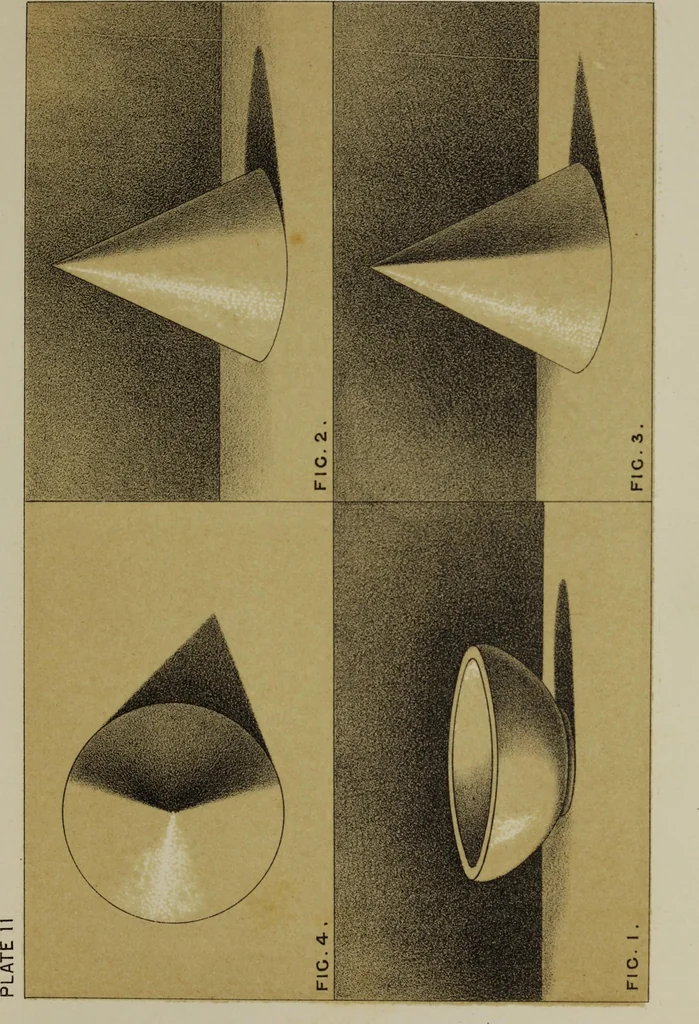 An illustration from Handbook of light and shade, with especial reference to model drawing, 1880, leaf 64