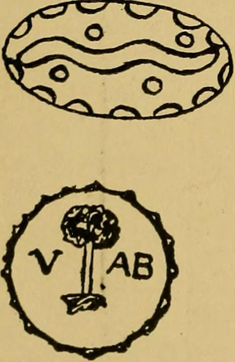 An illustration from Handbook of marks on pottery & porcelain, 1909, leaf 44