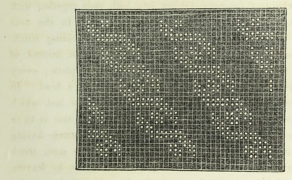 An illustration from The handbook of needlework, 1854, leaf 181