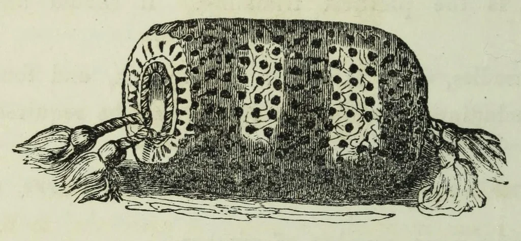An illustration from The handbook of needlework, 1854, leaf 230