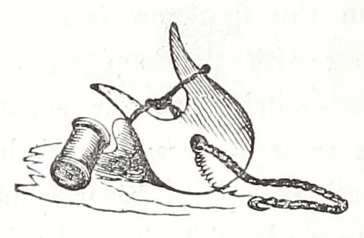 An illustration from The hand-book of needlework, 1854, leaf 120