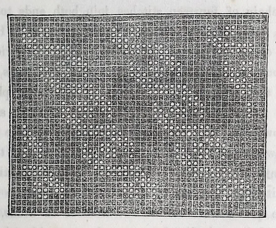 An illustration from The hand-book of needlework, 1854, leaf 181
