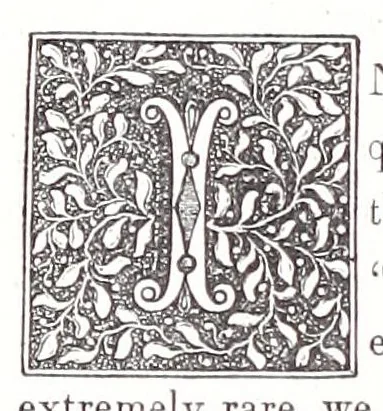 An illustration from The hand-book of needlework, 1854, leaf 278