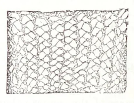 An illustration from The hand-book of needlework, 1854, leaf 302
