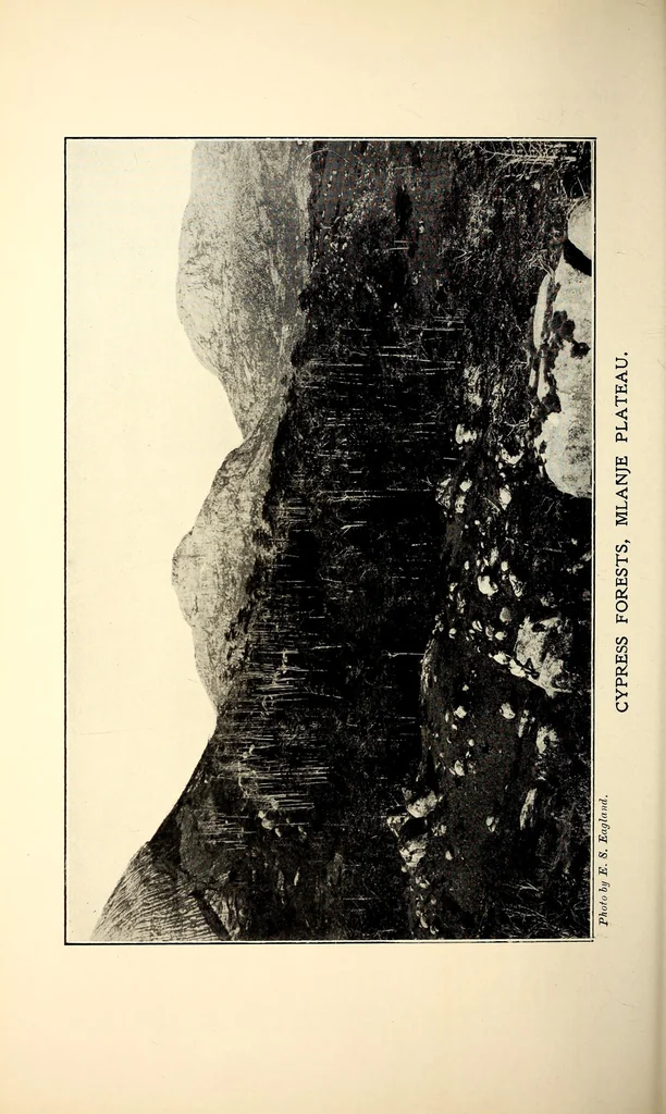 An illustration from A handbook of Nyasaland, 1922, leaf 228