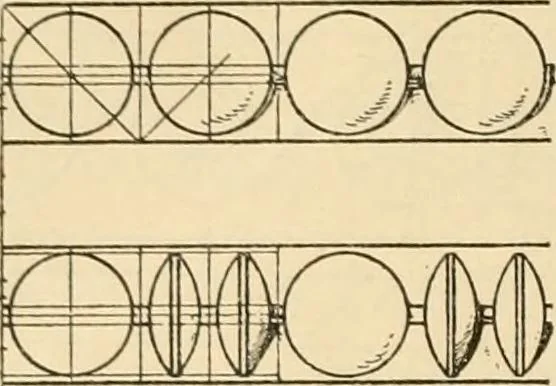 An illustration from Handbook of ornament; a grammar of art, industrial and architectural designing in all its branches, for practical as well as theoretical use, 1900, leaf 168