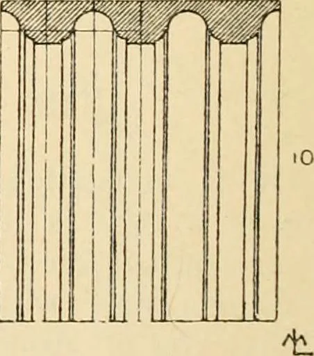 An illustration from Handbook of ornament; a grammar of art, industrial and architectural designing in all its branches, for practical as well as theoretical use, 1900, leaf 212