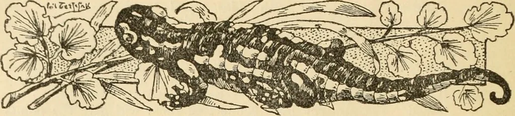 An illustration from Handbook of ornament; a grammar of art, industrial and architectural designing in all its branches, for practical as well as theoretical use, 1900, leaf 48