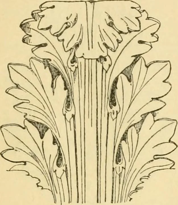 An illustration from Handbook of ornament; a grammar of art, industrial and architectural designing in all its branches, for practical as well as theoretical use, 1900, leaf 51