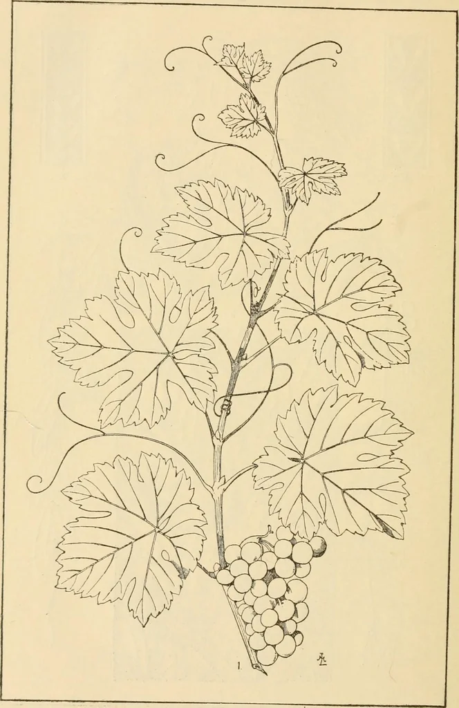 An illustration from Handbook of ornament; a grammar of art, industrial and architectural designing in all its branches, for practical as well as theoretical use, 1900, leaf 60