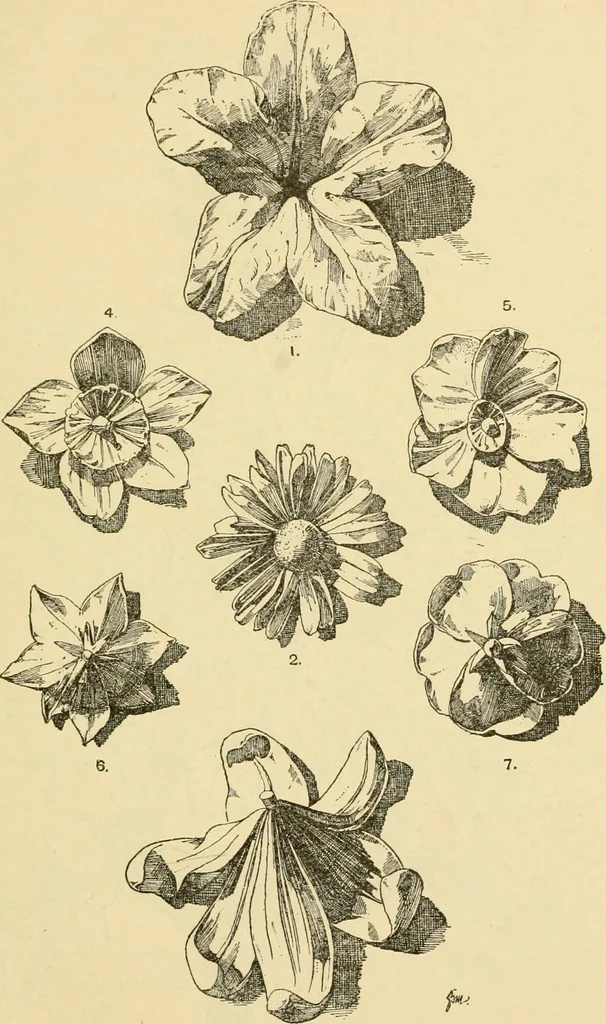 An illustration from Handbook of ornament; a grammar of art, industrial and architectural designing in all its branches, for practical as well as theoretical use, 1900, leaf 71