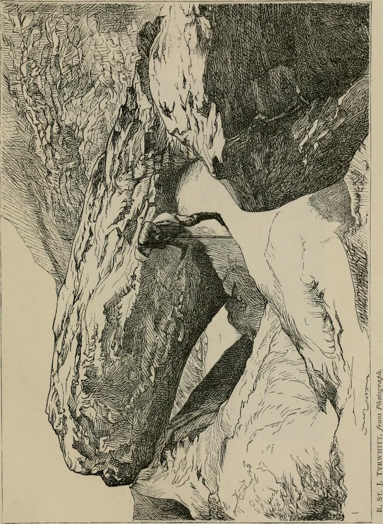 An illustration from A handbook of pictorial art, 1875, leaf 159