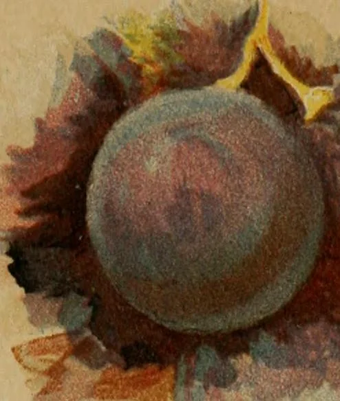 An illustration from A handbook of pictorial art, 1875, leaf 247