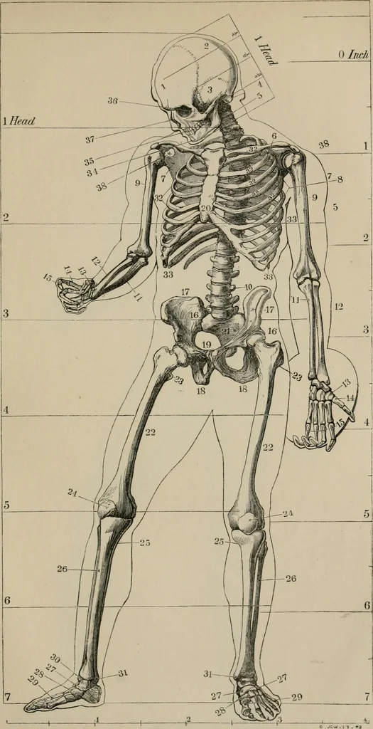 An illustration from A handbook of pictorial art, 1875, leaf 395