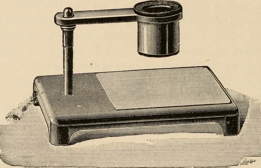 An illustration from Handbook of practical botany for the botanical laboratory and private student, 1908, leaf 243