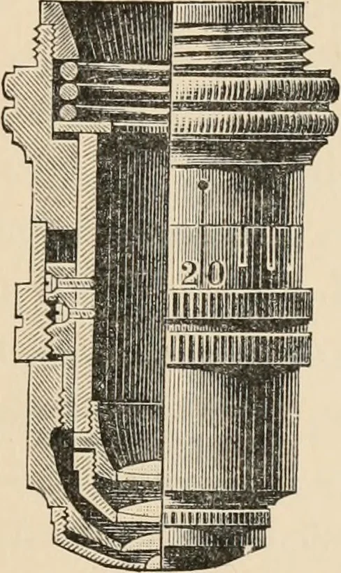 An illustration from Handbook of practical botany for the botanical laboratory and private student, 1908, leaf 30