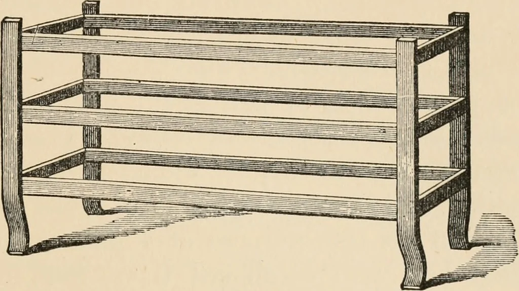 An illustration from Handbook of practical botany for the botanical laboratory and private student, 1908, leaf 36