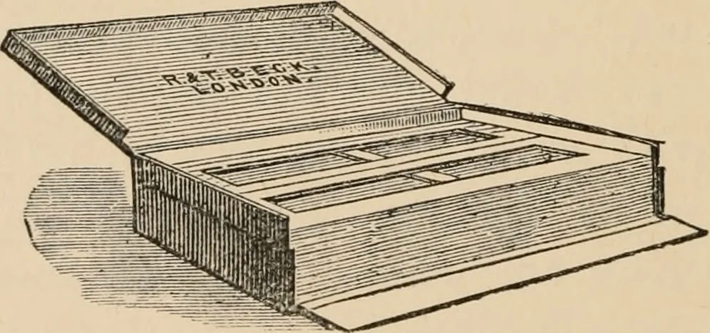 An illustration from Handbook of practical botany for the botanical laboratory and private student, 1908, leaf 37