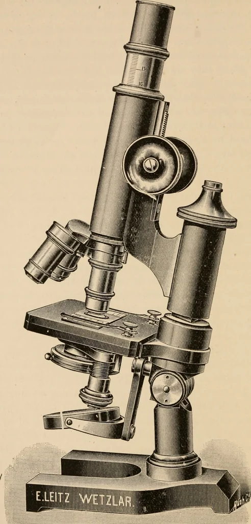 An illustration from Handbook of practical botany for the botanical laboratory and private student, 1908, leaf 43