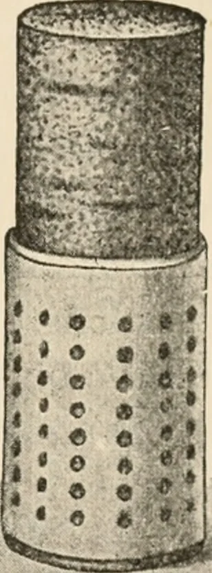 An illustration from Handbook of practical botany for the botanical laboratory and private student, 1908, leaf 484