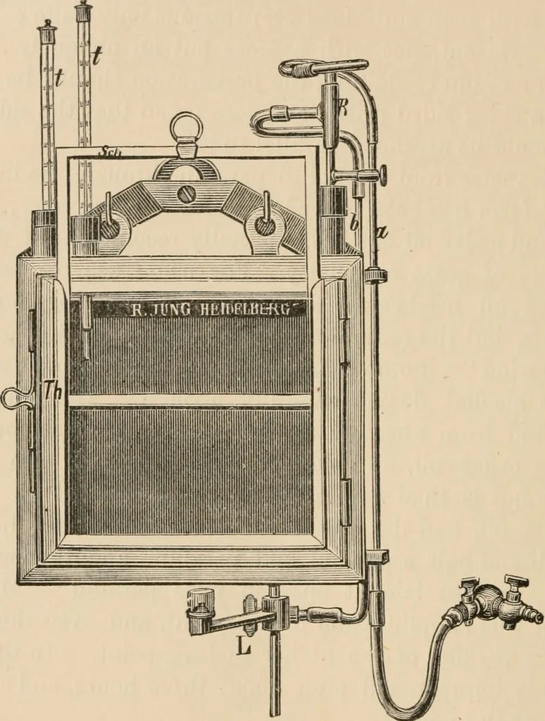 An illustration from Handbook of practical botany for the botanical laboratory and private student, 1908, leaf 487
