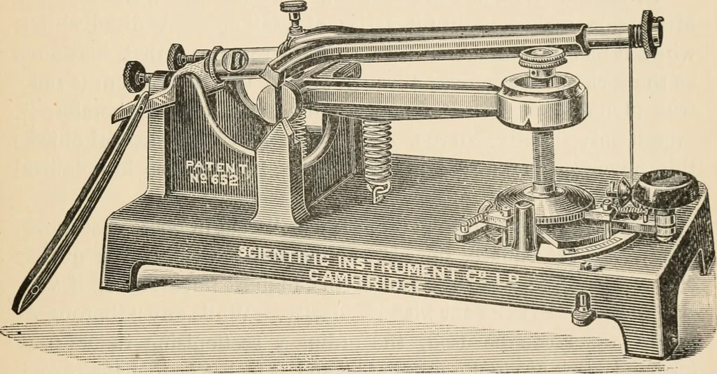An illustration from Handbook of practical botany for the botanical laboratory and private student, 1908, leaf 490