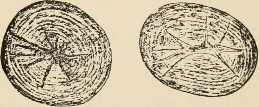 An illustration from Handbook of practical botany for the botanical laboratory and private student, 1908, leaf 54