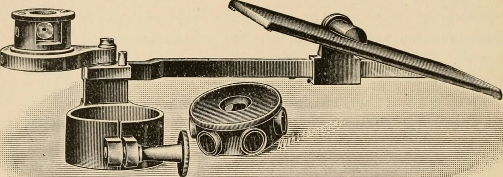 An illustration from Handbook of practical botany for the botanical laboratory and private student, 1908, leaf 77