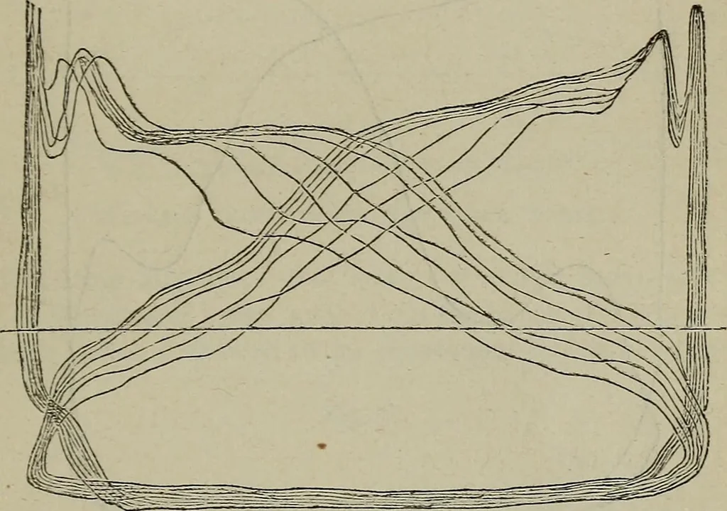 An illustration from Handbook of the steam-engine. Containing all the rules required for the right construction and management of engines of every class, with the easy arithmetical solution of those rules. Constituting a key to the 'Catechism of the steam-engine.', 1874, leaf 365