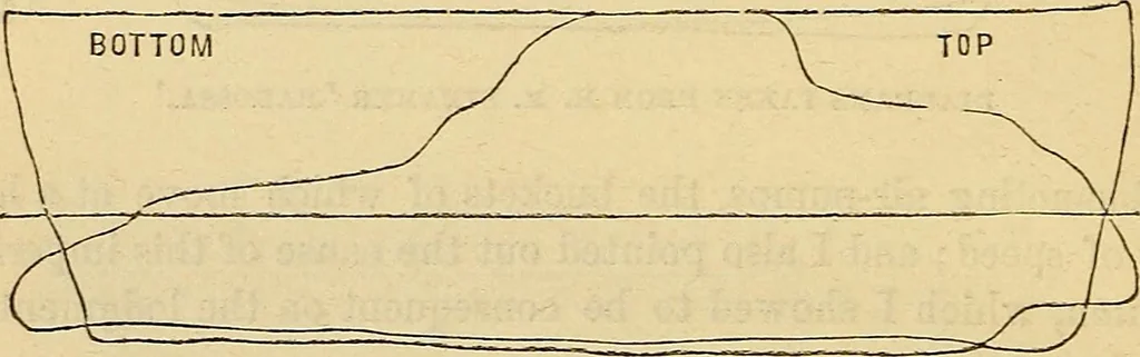 An illustration from Handbook of the steam-engine. Containing all the rules required for the right construction and management of engines of every class, with the easy arithmetical solution of those rules. Constituting a key to the 'Catechism of the steam-engine.', 1874, leaf 368