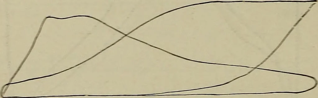 An illustration from Handbook of the steam-engine. Containing all the rules required for the right construction and management of engines of every class, with the easy arithmetical solution of those rules. Constituting a key to the 'Catechism of the steam-engine.', 1874, leaf 370
