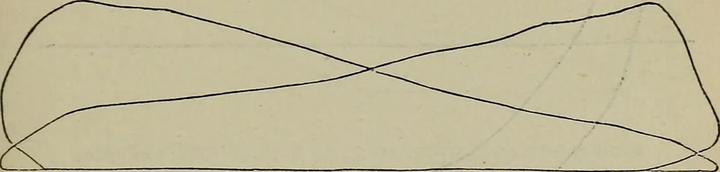 An illustration from Handbook of the steam-engine. Containing all the rules required for the right construction and management of engines of every class, with the easy arithmetical solution of those rules. Constituting a key to the 'Catechism of the steam-engine.', 1874, leaf 371