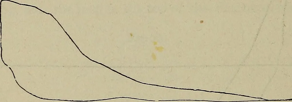 An illustration from Handbook of the steam-engine. Containing all the rules required for the right construction and management of engines of every class, with the easy arithmetical solution of those rules. Constituting a key to the 'Catechism of the steam-engine.', 1874, leaf 374
