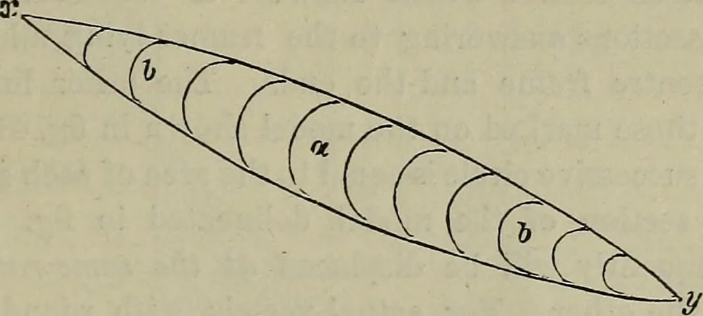 An illustration from Handbook of the steam-engine. Containing all the rules required for the right construction and management of engines of every class, with the easy arithmetical solution of those rules. Constituting a key to the 'Catechism of the steam-engine.', 1874, leaf 423